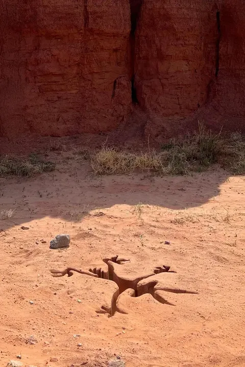 Coyote vs. Acme Poster 2