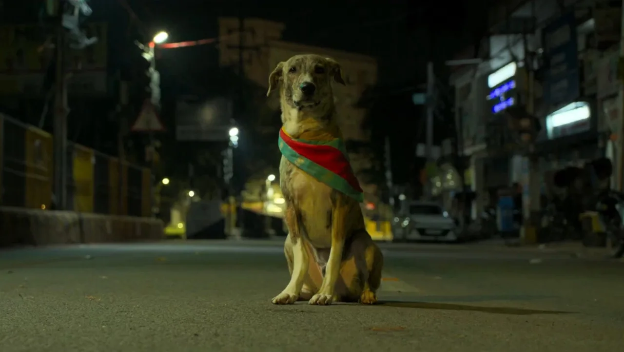 Ohh My Dog Box Office