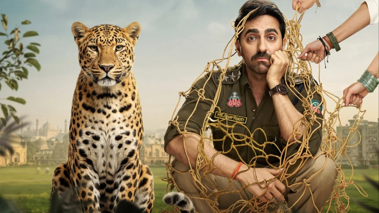 Pati Patni Aur Woh Do Box Office