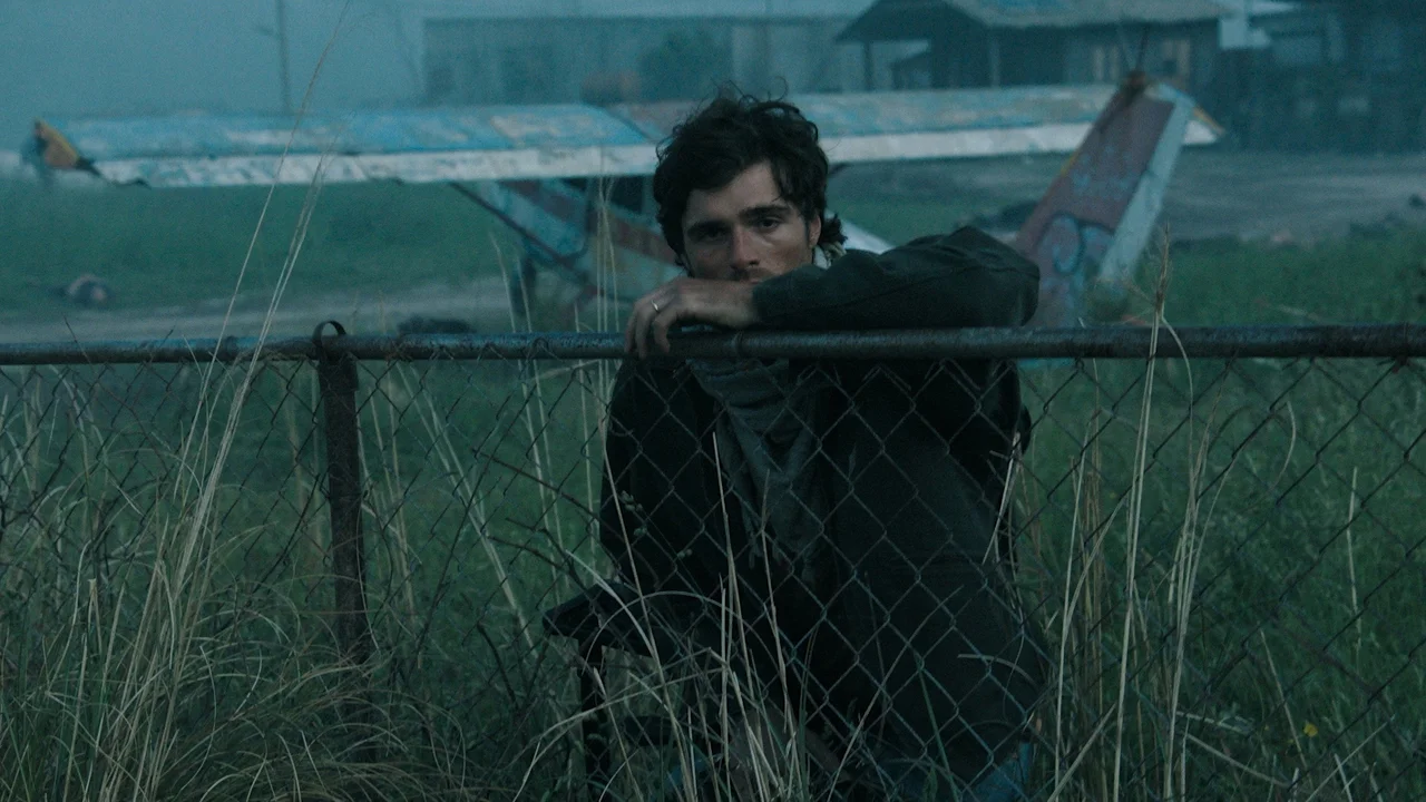 The Dog Stars Still 1