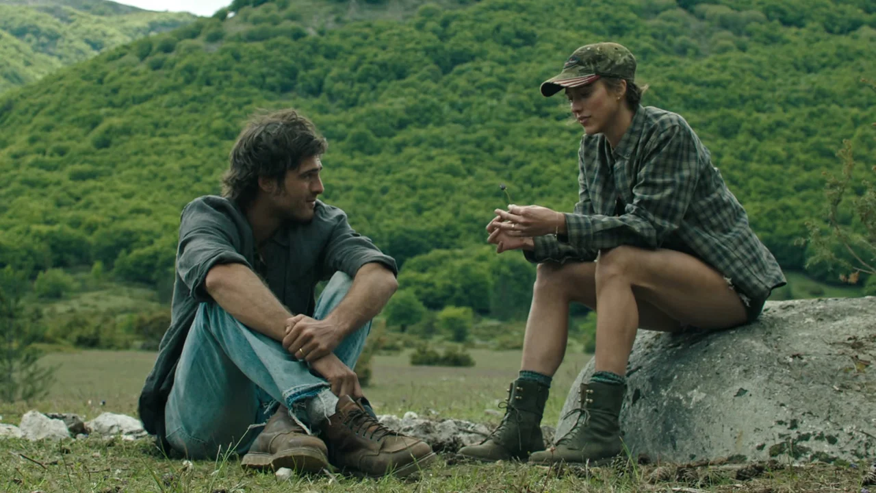 The Dog Stars Still 3